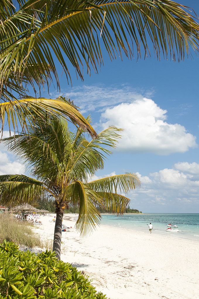 Explore Grand Bahama Island