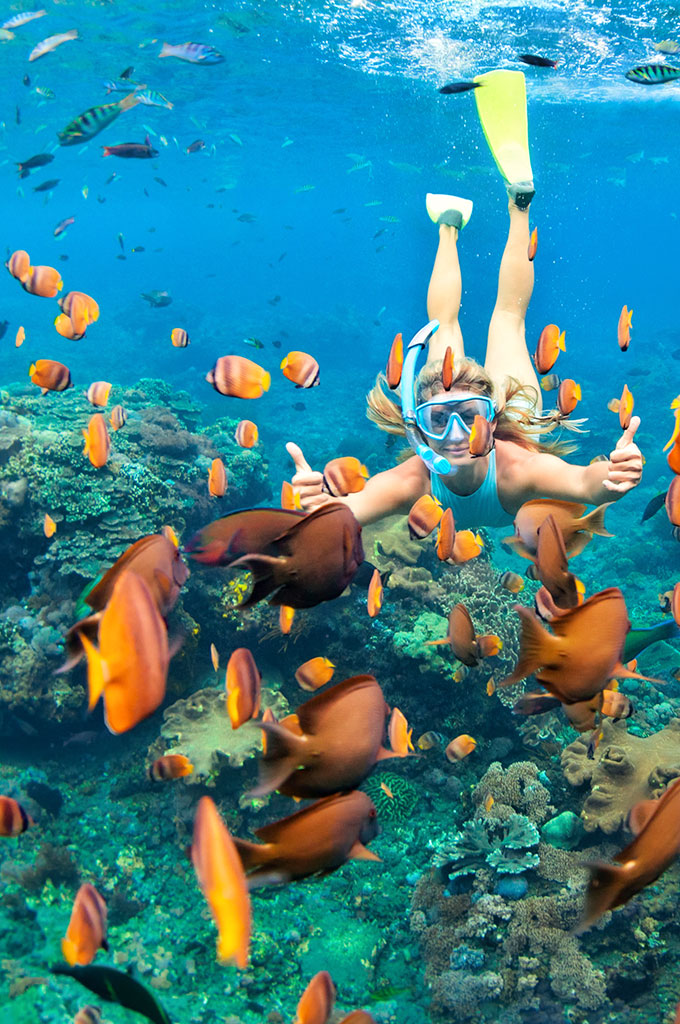 Explore Grand Bahama Island