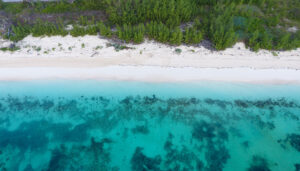 Grand Bahama Island