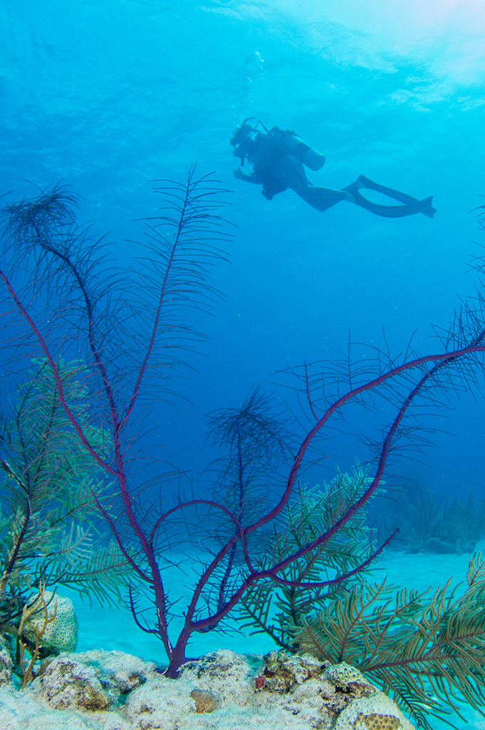 Explore Grand Turk