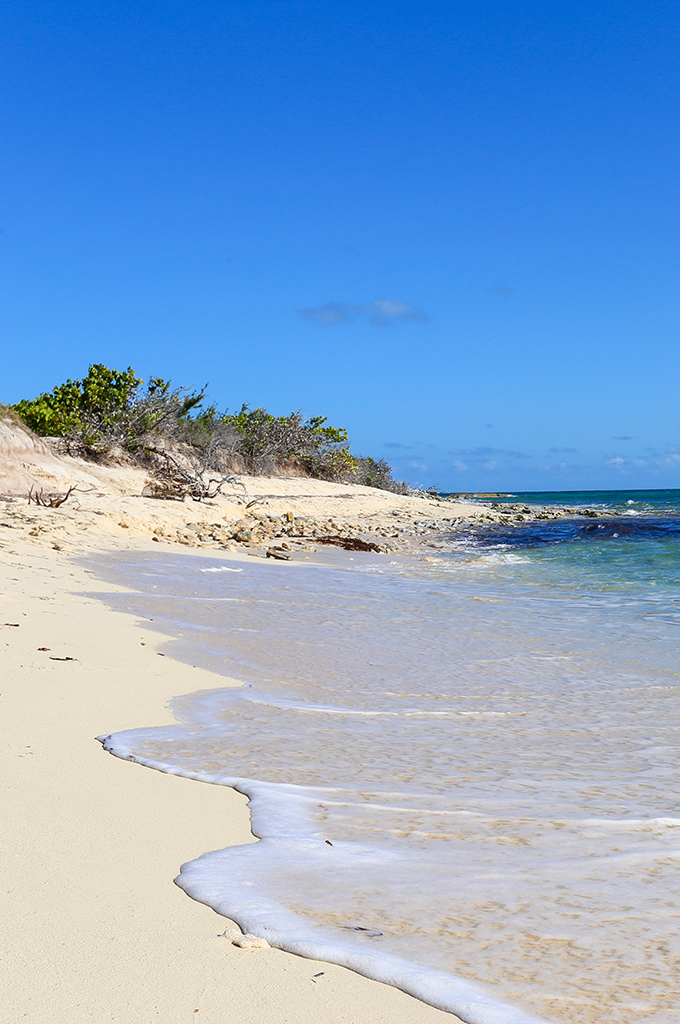 Explore Grand Turk