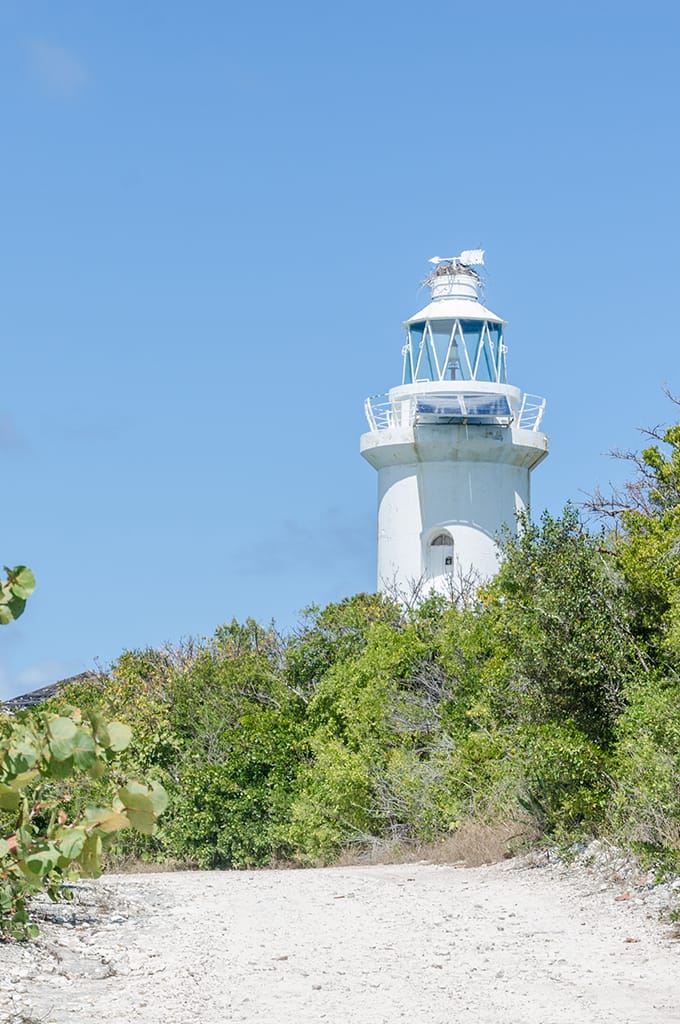 Explore Great Stirrup Cay