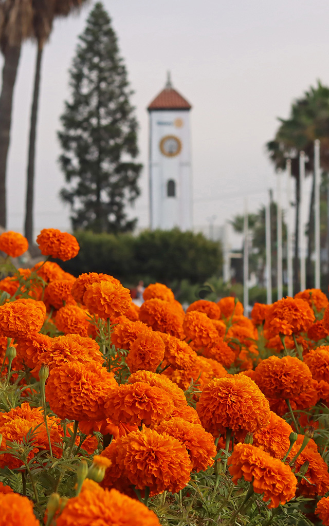 Ensenada, Mexico